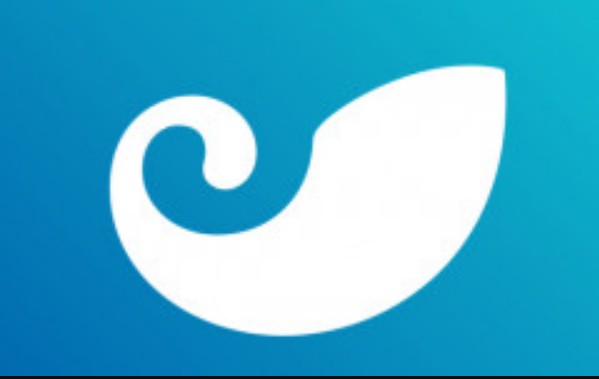 <strong>token官网正版app_(tokensoft官网)</strong>